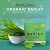Amazing Organic Barley Capsule from Australia 100 Capsules x 500 mg