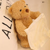 Talking Peek a Boo Stuffed toy