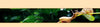 High Quality Snail 100% pure plant extract Hyaluronic acid