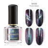 BORN PRETTY Chameleon 3D Cat Eye Nail Polish