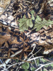 Hunting clothes New 3D maple leaf Bionic Ghillie Suits Yowie