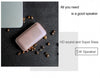 BOAS Mini Metal Bluetooth Wireless 4.2 Speaker