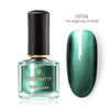 BORN PRETTY Chameleon 3D Cat Eye Nail Polish