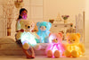 Creative Light Up LED Teddy Bear Stuffed Toy