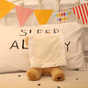 Talking Peek a Boo Stuffed toy