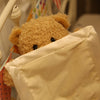 Talking Peek a Boo Stuffed toy