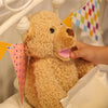 Talking Peek a Boo Stuffed toy