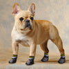 4 pcs/set Outdoor Waterproof Nonslip Anti-Stain Dog Cat Socks
