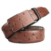 Luxury Genuine Leather Belts for Men