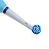 AZDENT Rotating Electric Toothbrush Battery Operated