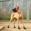 4 pcs/set Outdoor Waterproof Nonslip Anti-Stain Dog Cat Socks