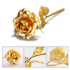 24k Gold Plated Rose
