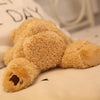 Talking Peek a Boo Stuffed toy