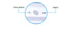 20 Led Solar Lamp Motion Sensor Outdoor Waterproof