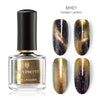 BORN PRETTY Chameleon 3D Cat Eye Nail Polish