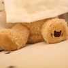 Talking Peek a Boo Stuffed toy