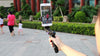 Ulanzi Handheld Smartphone Video Rig Case