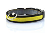 Nylon LED Pet Dog Collar Night Safety Anti-Lost Flashing Glow Collars