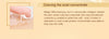 High Quality Snail 100% pure plant extract Hyaluronic acid
