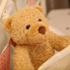 Talking Peek a Boo Stuffed toy