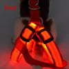 Nylon Pet Dog Harness Cat Safety LED Flashing Light Harness