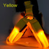 Nylon Pet Dog Harness Cat Safety LED Flashing Light Harness