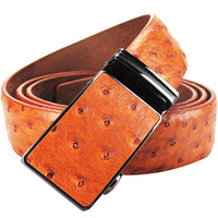 Luxury Genuine Leather Belts for Men