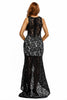 Black Lace Nude Illusion Fishtail Party Dress