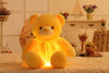 Creative Light Up LED Teddy Bear Stuffed Toy