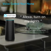 Smart Speaker Bluetooth Voice Controlled, Alexa AI Echo